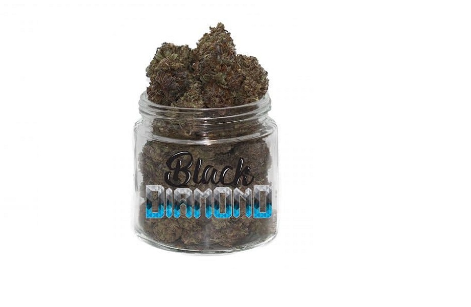 Exploring Different Types of Cannabis Strains